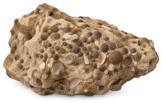 Representative AI specimen of Phosphate Rock: Sedimentary phosphorite.